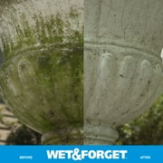 (عبوة من قطعتين) بخاخ مزيل بقع الطحالب والعفن والفطريات والطحالب من Wet & Forget للاستخدام الخارجي، 64 أونصة