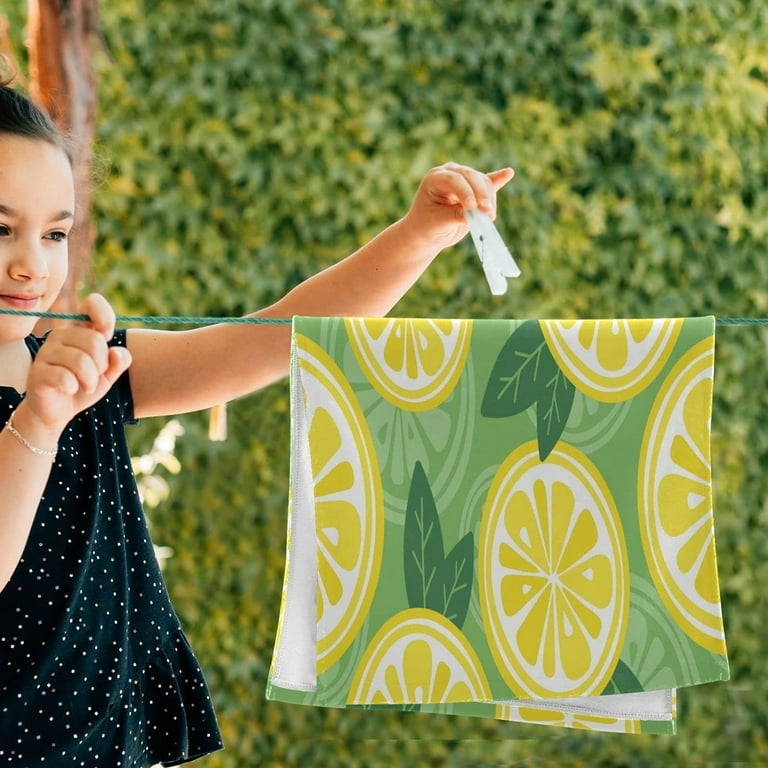 Hidove Summer Lemon Hand Towels Soft Absorbent Bathroom Guest Towels Kitchen Towels Fingertip Towel for Beach Gym Spa 14x28 Inch 2PACK