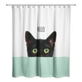 thumbnail image 2 of Creative Products Mint Striped Curious Cat  71x74 Shower Curtain, 2 of 2