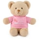 thumbnail image 1 of GUND “I'm The Big Sister” Sustainable Message Bear with Pink T-Shirt, Teddy Bear Made from 100% Recycled Materials for Ages 1 and Up, Tan, 12”, 1 of 9