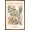 Bronze Framed Version, variant on Reinders: Flowers - Flower Market Ibiza Botanic Wall Poster, 14.725" x 22.375" Framed