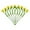 D, variant on erfcxs 10 Pcs Flower White Flowers Large Head Real Flowers For For Vase Centerpieces Home Wedding Bouquet Flower