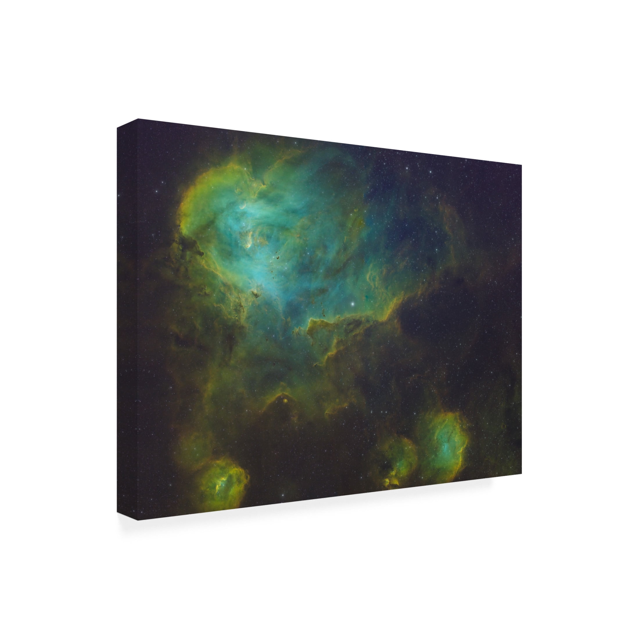 Trademark Fine Art James Zhen Yu Running Chicken Nebula Canvas Wall Art