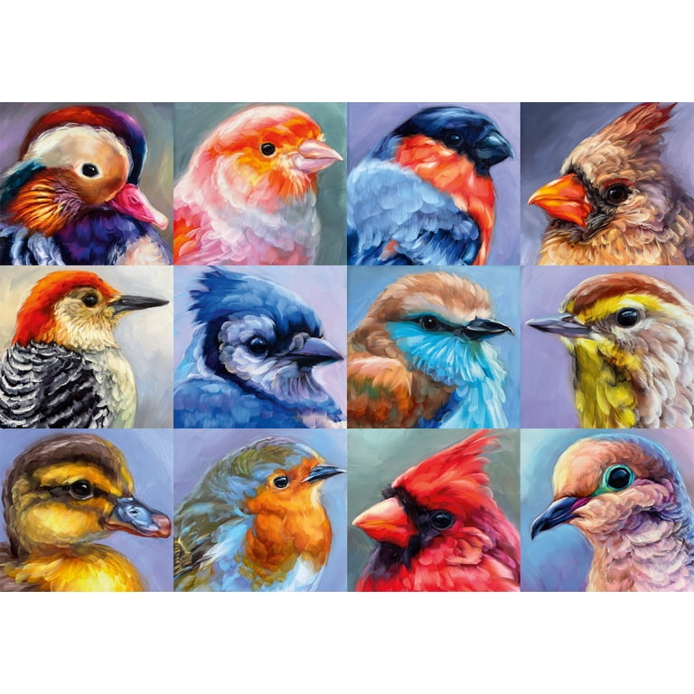 Buffalo Games Bonjour Wild Bird Collage 500-Piece Interlocking