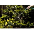 thumbnail image 3 of Manguera de jardín Teknor Apex NeverKink de 1,6 cm x 7,5 m, resistente, 3 of 8