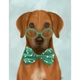 thumbnail image 2 of Fab Funky 15x18 Black Ornate Wood Framed with Double Matting Museum Art Print Titled - Rhodesian Ridgeback with Glasses and Bow Tie, 2 of 4