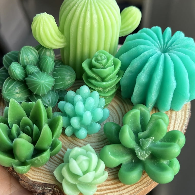 Cake Decoration Cupcake Topper Molds 4-Piece Cactus & Succulent Set For  Fondant, Chocolate, & Crafts Silicone Mold