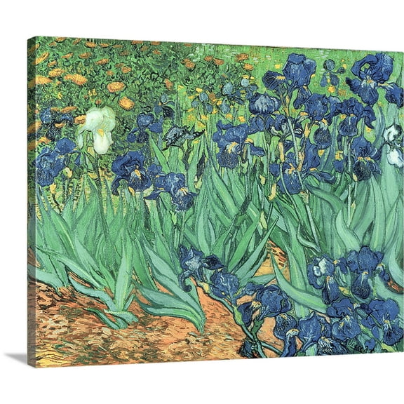 Great BIG Canvas | "Irises, 1889" Canvas Wall Art - 20x16