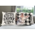 thumbnail image 3 of Ambesonne Easter Throw Pillow Cover 4 Pack, Bunny Kisses Truck with Egg, 24", Black Ivory and Pale Brown, 3 of 4
