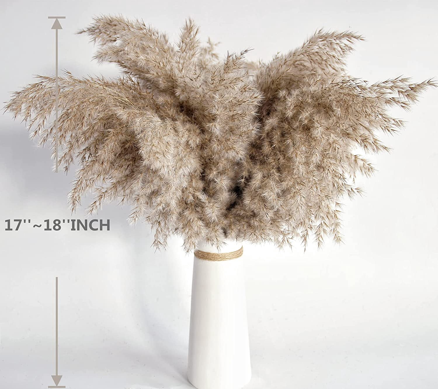 20 Pcs Dried Small Pampas Grass Decor Natural Phragmites Real Wedding Flower Bunch