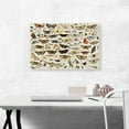 thumbnail image 2 of ARTCANVAS An Extensive Study Of Butterflies Insects And Seashells 1671 Canvas Art Print by Jan Van Kessel Elder - Size: 26" x 18" (1.50" Deep), 2 of 9