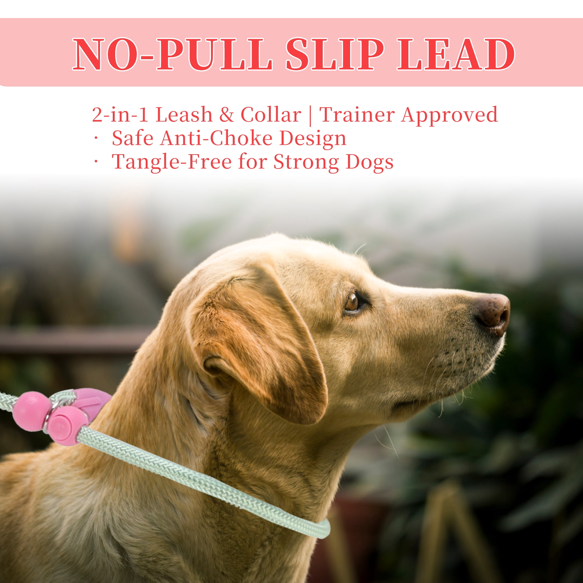 Unique Bargains Slip Leash for Dogs No Pull Heavy Duty Training Leash Medium Green 5ft