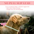 thumbnail image 7 of Unique Bargains Slip for Dogs 5FT No-Pull Dog Leash with Comfortable Rope Design Heavy Duty Training for Small Medium Dogs Green, 7 of 7