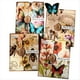 thumbnail image 1 of 80 Hojas de Papel Vintage para Álbumes de Recortes de Jardín, Mariposas, Abejas, Flores, Papel para Diarios Basura Estéticos, 1 of 7