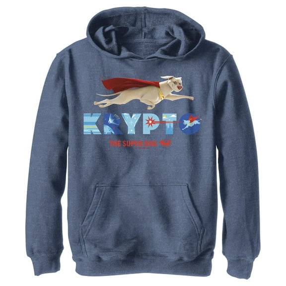 Boy's DC League of Super-Pets Krypto Super Dog  Pull Over Hoodie Navy Blue Heather Large