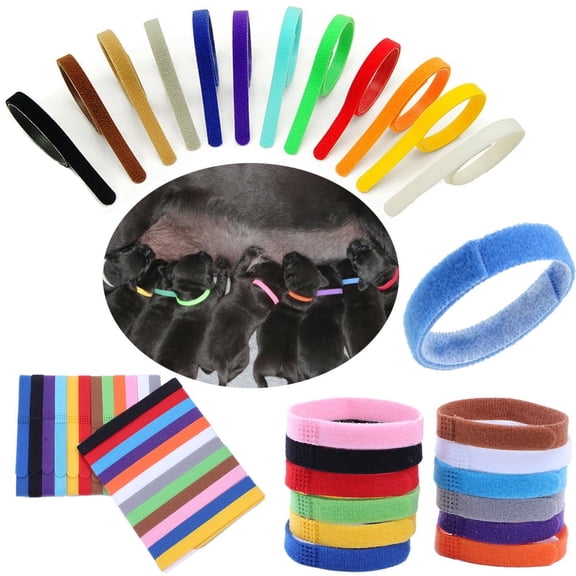 Topvent 12 Colors Identification ID Collars Bands Whelp Puppy Kitten Dog Pet Cat,Multicolor
