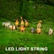 thumbnail image 5 of Brillante Dinosaurios 10LED/20LED Super Dinos USB Regalo Juguete Plástico, 5 of 9