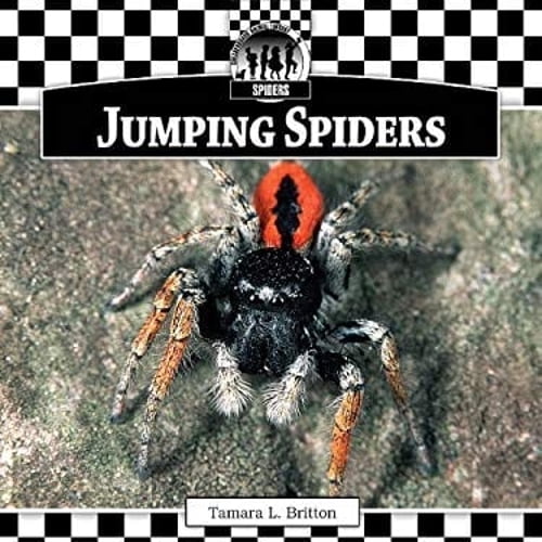 Pre-Owned Jumping Spiders (Library Binding) 1616134410 9781616134419