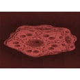 thumbnail image 1 of Ahgly Company Machine Washable Indoor Rectangle Transitional Red Area Rugs, 7' x 9', 1 of 7