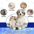 thumbnail image 2 of Oimmal Pet Hydrocortisone Spray for Dogs and Cats,Gently Soothes Skin Irritation, Relieving Pet Allergy And Itching,Natural Ingredients, Non-toxic，Pet Skin Care Spray 2 Pack, 2 of 10