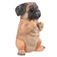 thumbnail image 3 of Chiot Carlin Assis, 3 of 3