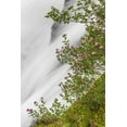 thumbnail image 2 of Paulson, Don 13x18 White Modern Wood Framed Museum Art Print Titled - WA, Mount Rainier NP Waterfall in Paradise Creek, 2 of 4