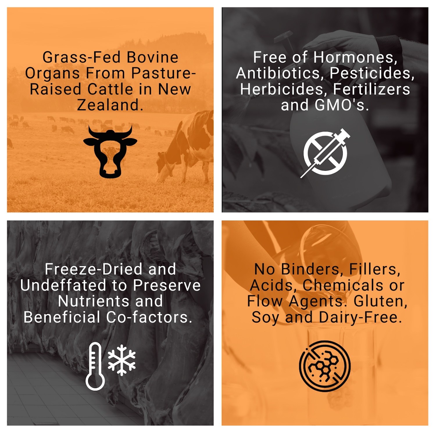 Grass Fed Beef Organ Powder with Liver, Heart & Kidney, Freeze-Dried Whole Food Organ Supplement, 90g