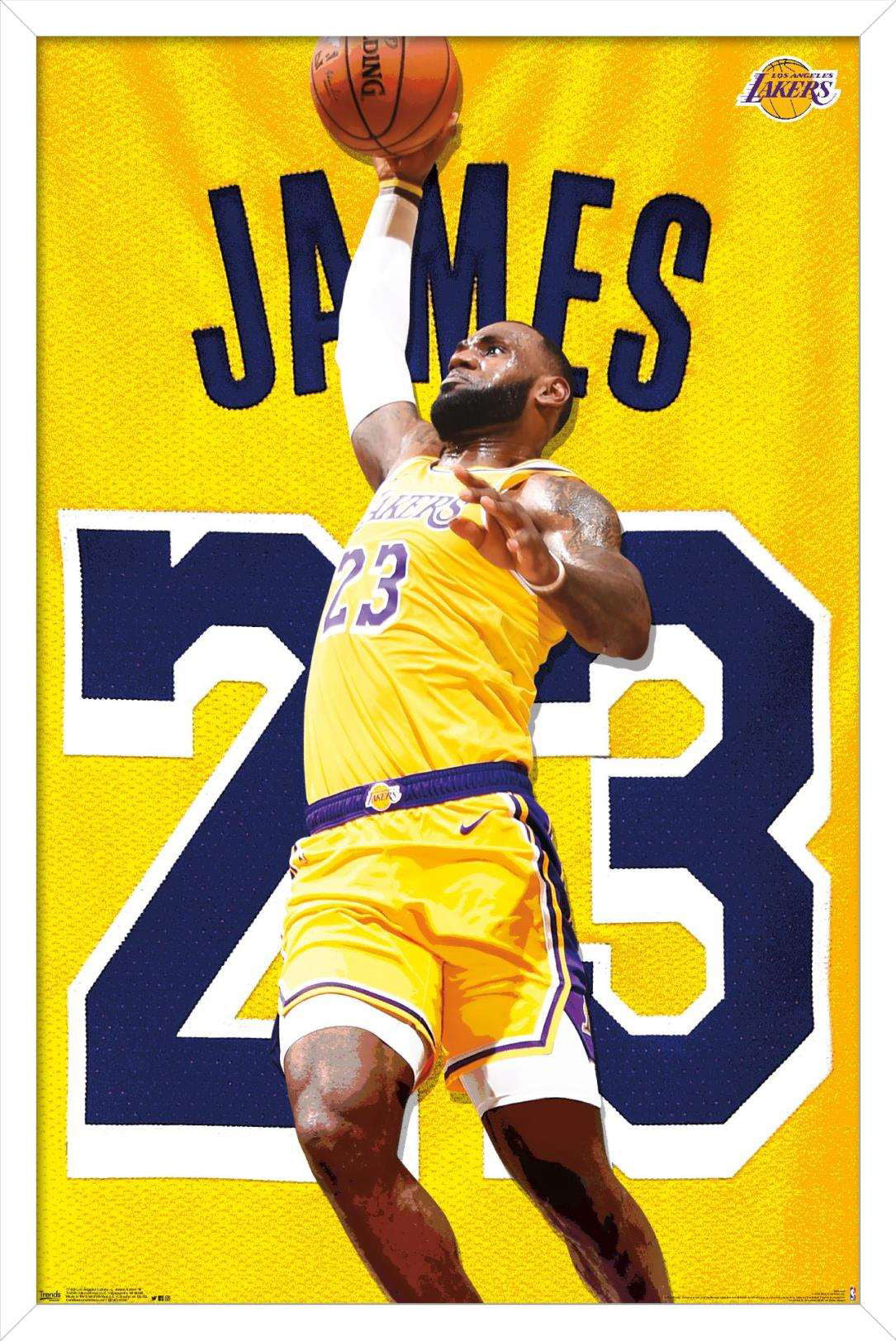 LeBron James 23# Basketball Jersey Dragon Stripes Special Edition Lakers 