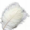 thumbnail image 5 of Balsa Circle 12 Pieces 13"-15" Authentic Ostrich Feathers Centerpieces, 5 of 8
