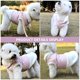 thumbnail image 1 of Milisten 1Ud Arnés Para Perro Rosa Plush Y Cálido Para Días Fríos Y Lluviosos, 1 of 8