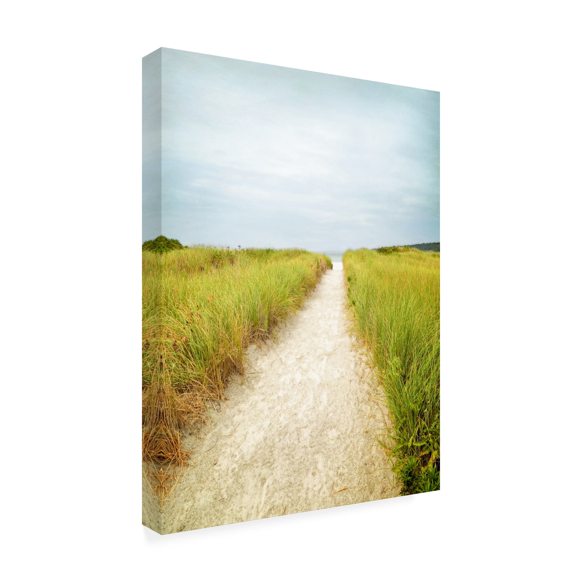 Trademark Fine Art 'Beach Trail' Canvas Art by Brooke T. Ryan