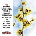 thumbnail image 4 of THAYERS Alcohol-Free Original Witch Hazel Facial Toner with Aloe Vera Formula - 12 oz, 4 of 7