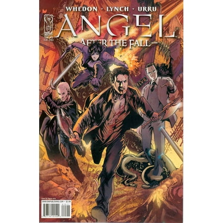 Angel: After the Fall #15B VF ; IDW Comic Book