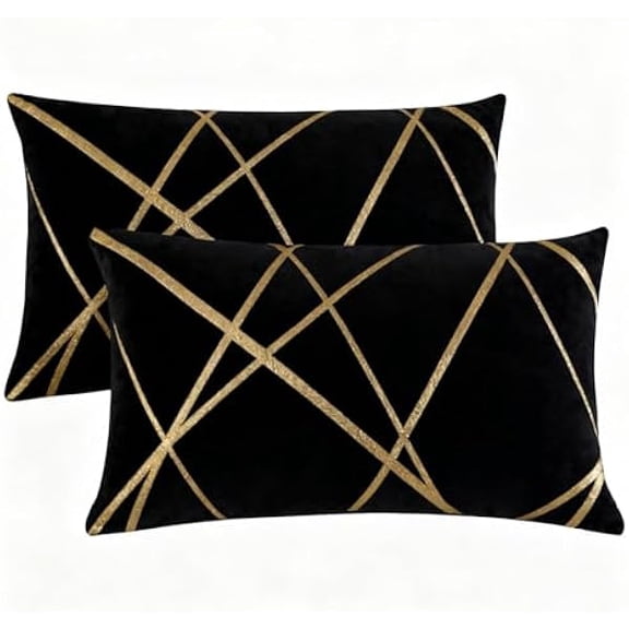 Eryueer Rectangle Cushion Covers Velvet Decorative 30 x 50 cm Black Throw Pillow Covers Gold Striped Cushion Case Soft Lumbar Couch Pillowcases for Sofa Living Room Bedroom Sets of 2