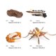 thumbnail image 4 of Bewildely 1 Juego de modelo de gusano de pala, Material plástico Premium, figuritas de insectos significativas, modelos de crecimiento educativo temprano Juguetes Educativos mosquito tipo 2 NO7 Bewildely FN010083-06, 4 of 6