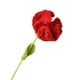 thumbnail image 3 of Clavel Ganchillo Punto Terminado para Cumpleaños Boda () Rojo, 3 of 4