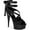 Black Satin/Lace/Black Matte, variant on Women's Pleaser Delight 678LC