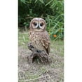 thumbnail image 5 of 12.25" Owl on Stump Outdoor Garden Statue, 5 of 6