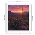 thumbnail image 2 of Paint by Numbers Kit for Adults, Desert Sunrise Cactus Scene Paint by Numbers, Easy Paint by Numbers Kit for Adults Beginner, DIY Adult Paint by Number Kits on Canvas, Home Decor, 2 of 7