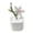D, variant on Glass Artificial Plant Decorations, Small Preserved Glass Bouquets for Desk, Workspace, Home Office, Study Table, Window Sill, Elegant Desktop Display, Modern Decor