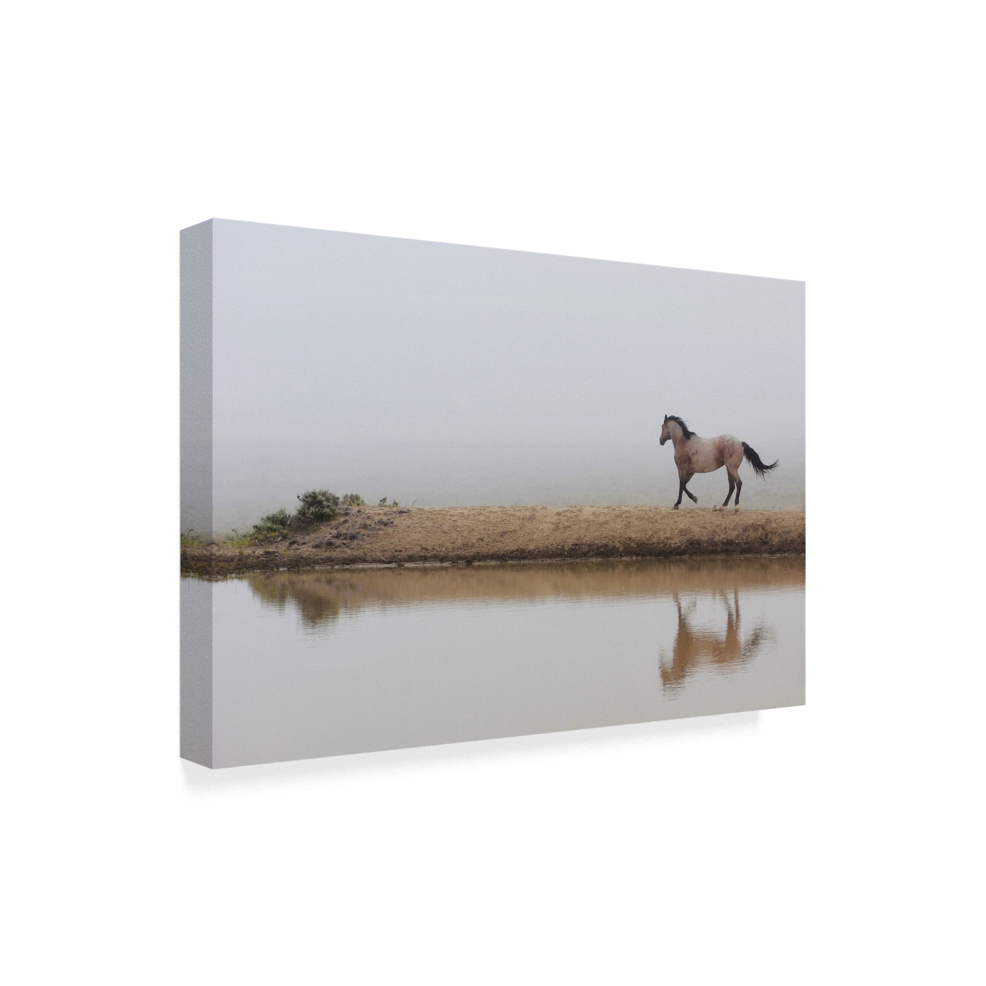 Trademark Fine Art 'Mystical Beauty' Canvas Art by Amanda Smith