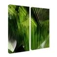 thumbnail image 4 of Ready2HangArt  'Abstract Palm Leaves' 2-piece Oversized Canvas Wall Art, 4 of 5