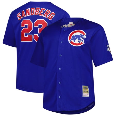 Men s Mitchell & Ness Ryne Sandberg Royal Chicago Cubs Big & Tall Cooperstown Mesh Batting Practice Jersey