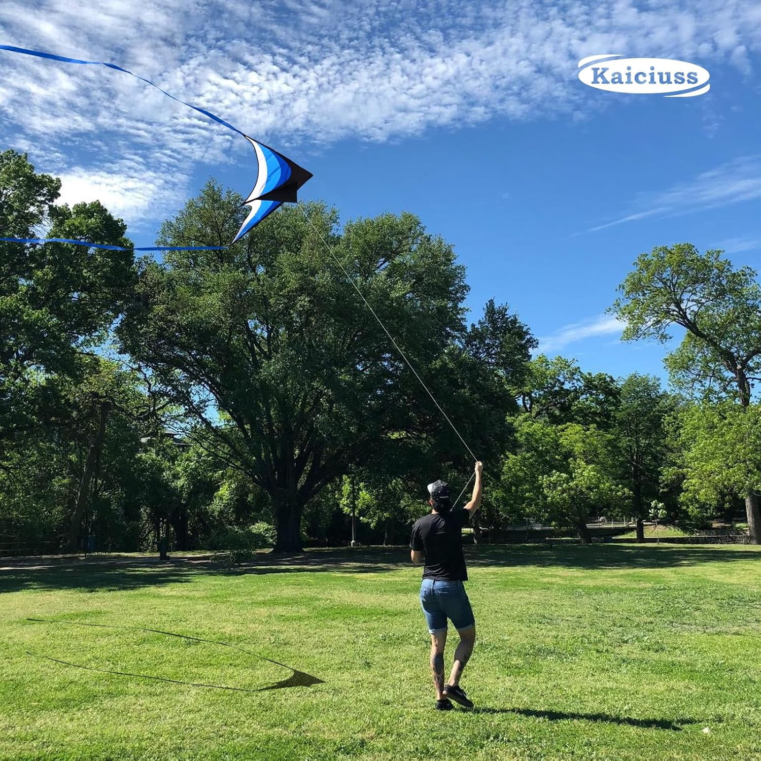Delta Kite Set for Adults and Kids, Single Line Beach Kites with Three Handles and String
