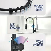 Matte Black Kitchen Faucet with LED Sprayer Single Handle Pull Down Sink Faucet