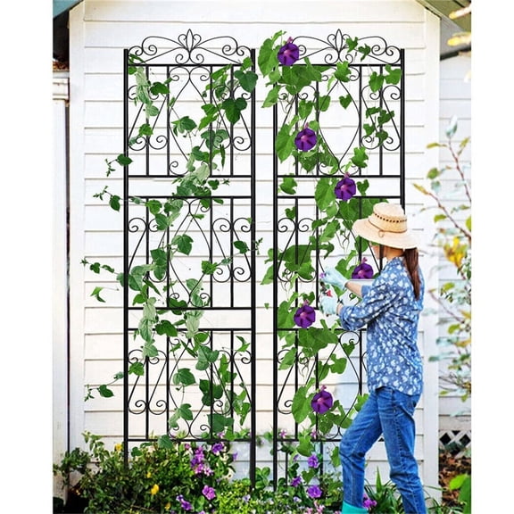 2pcs Black Metal Garden Trellis Rose Grapes Plant Trellis Outdoor Screen,19.7x71.6 inch