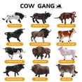 thumbnail image 4 of Mini Tudou Cow Figure 12 Pcs Animal Figurines Farm Toy Set, Cool Cake Topper & Exhibits Fun Educational Play Toy For Boys Girls & Kids Ages 3+, 4 of 7