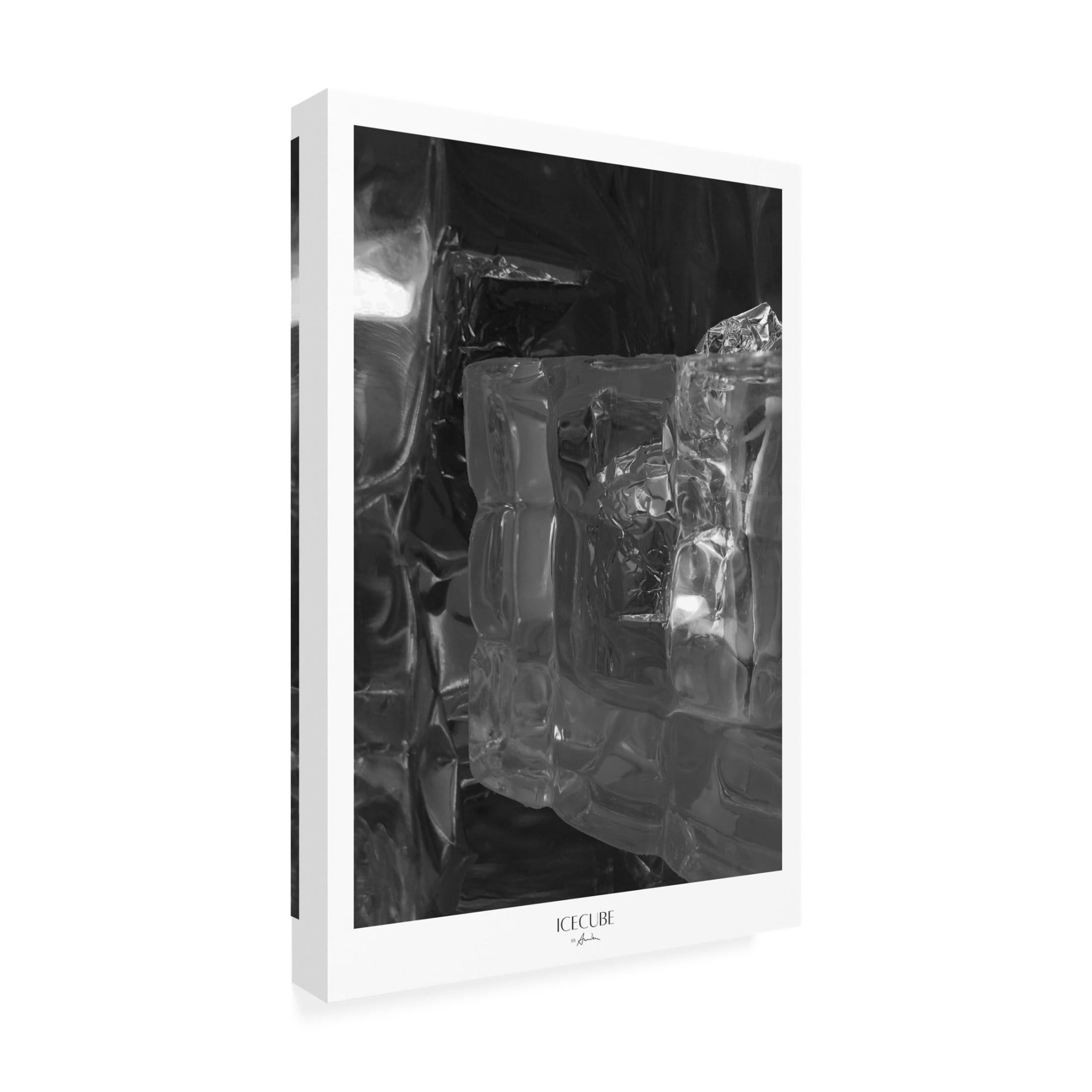 Trademark Fine Art Annika John Icecube Canvas Wall Art