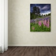 thumbnail image 3 of Trademark Fine Art 'Lupines on the Hill' Canvas Art by Michael Blanchette Photography, 3 of 3