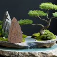 thumbnail image 4 of RUNROTOO De Rockería Para Jardín Zen Y Bonsái Con Acabado Café, 4 of 8